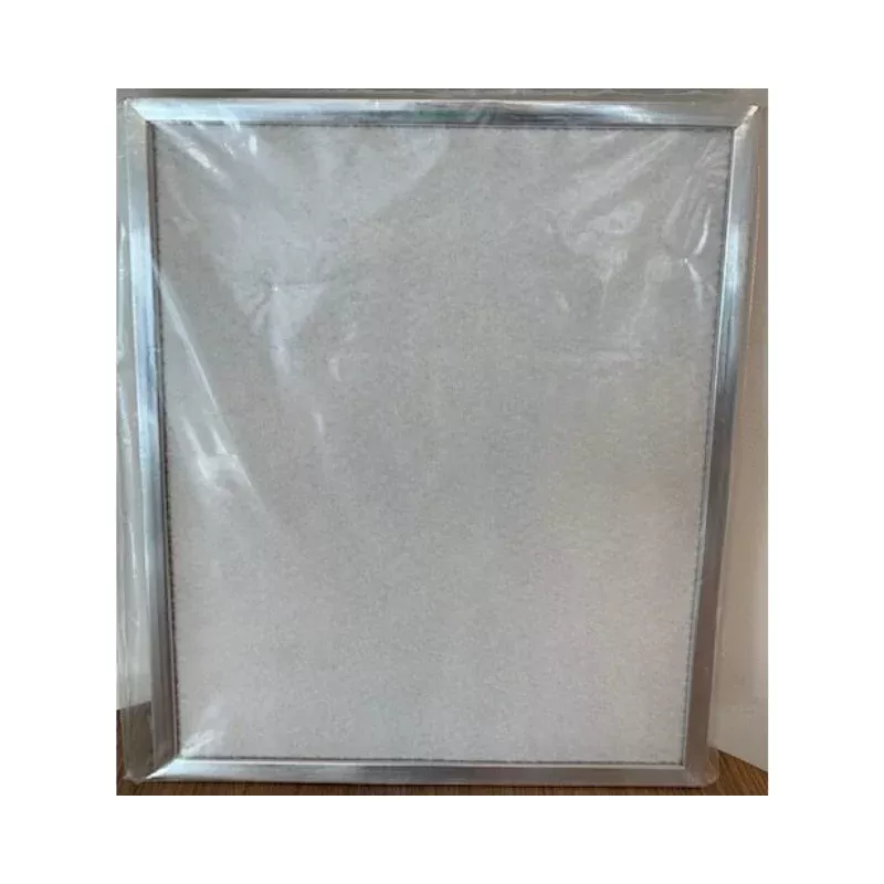 Aldes 612140 MERV 13 Replacement Filter (2-Pack)