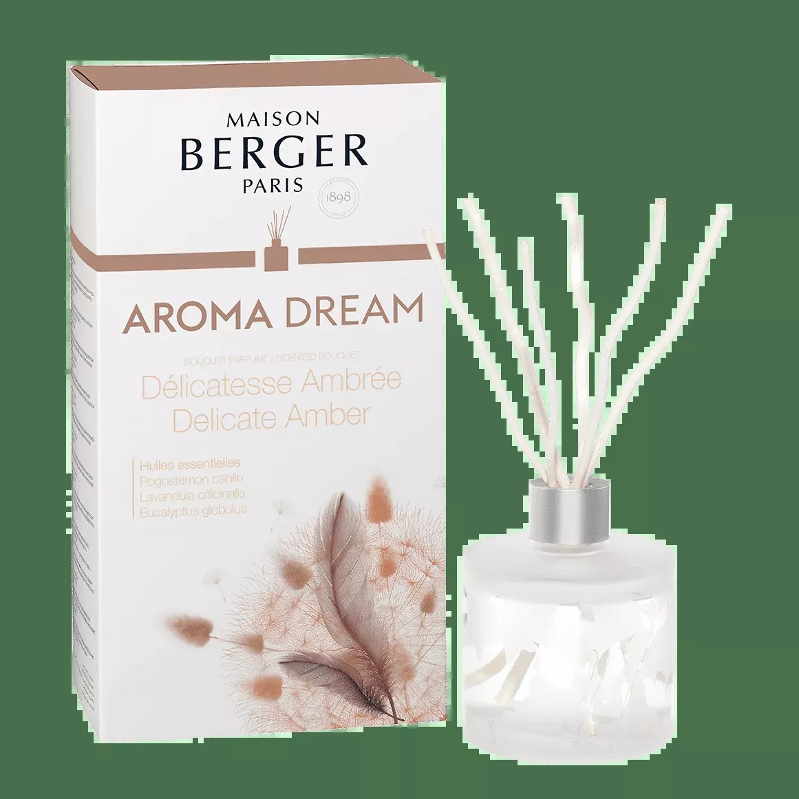Aroma Dream Pre-filled Reed Diffuser – Delicate Amber – 180ml
