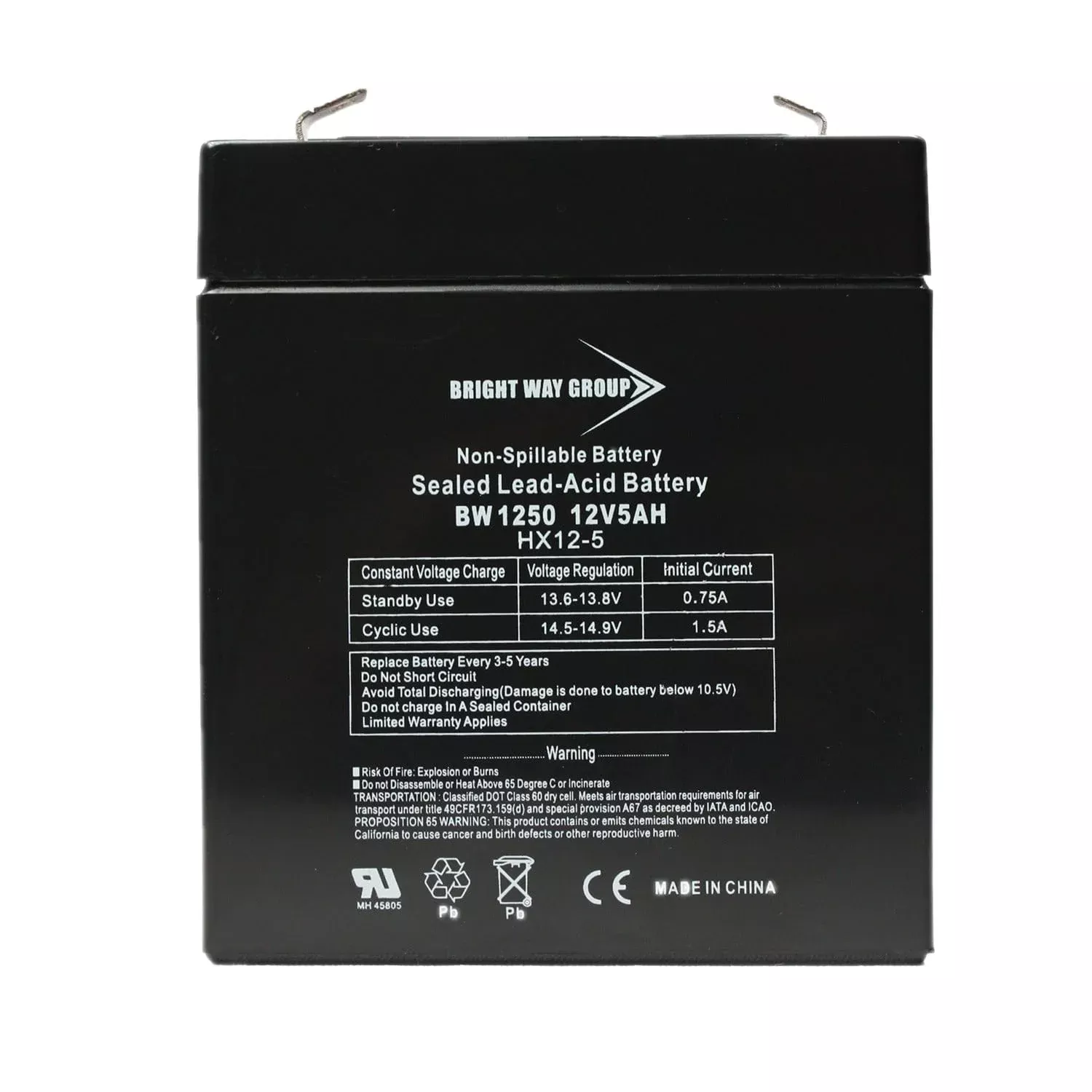 Bright Way Group BWG 1250 F1 Battery