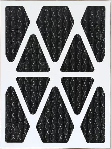 Electro Air DM900‐0855 Carbon Pleated Prefilter
